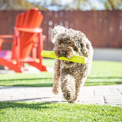 Durable EVA Foam Dog Fetch Stick – Floats, Easy to Clean, Great for Water Play - Image 6
