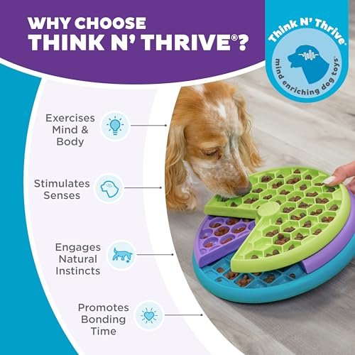 Interactive Outward Hound Dog Puzzle Feeder, Level 2 Enrichment Toy - Image 6