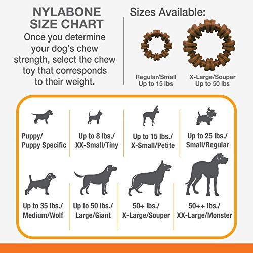 Durable Nylabone Power Chew Ring Toy for Aggressive Chewers, XL Flavor Medley - Image 5