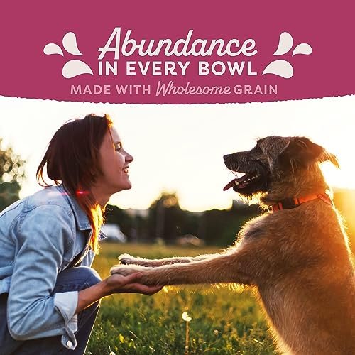 Low-Calorie Dry Dog Food - Chicken & Salmon Recipe for Healthy Weight, 11lb - Image 10