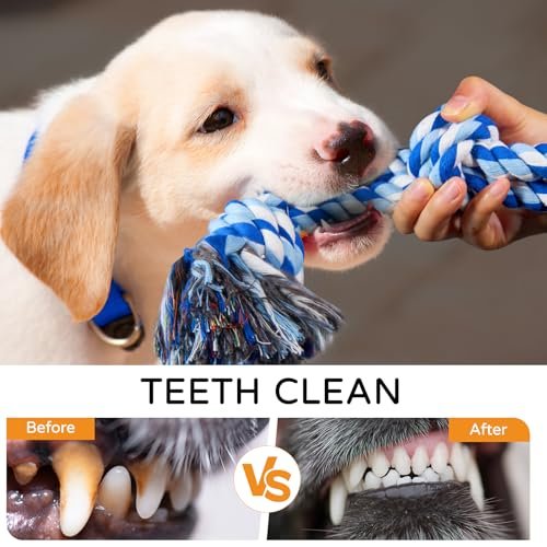 TLAZZ 2 Pack Durable Dog Rope Toys for Aggressive Chewers, Teeth Cleaning - Image 5