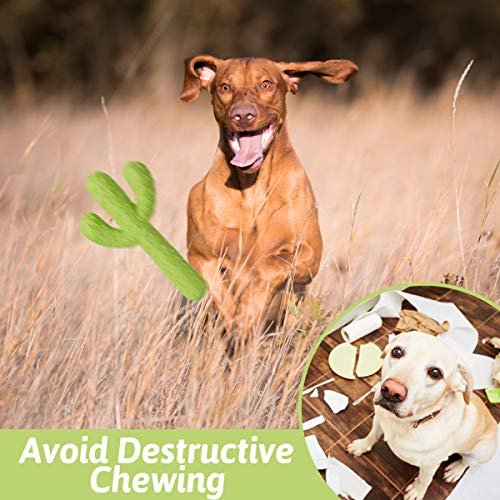 Durable Cactus Dog Chew Toy - Tough Rubber for Aggressive Chewers - Image 5
