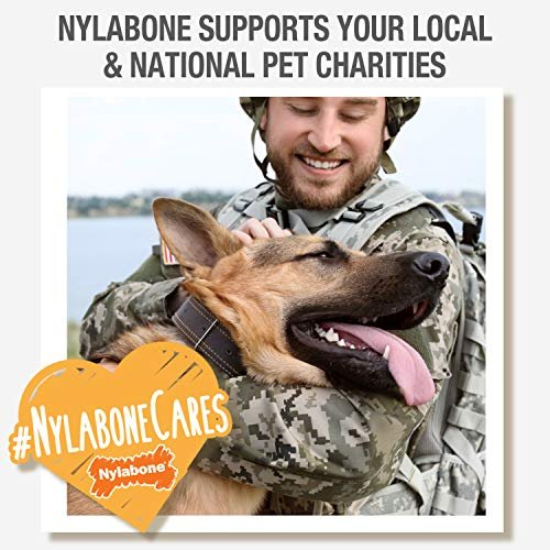 Durable Nylabone Power Chew Ring Toy for Aggressive Chewers, XL Flavor Medley - Image 12