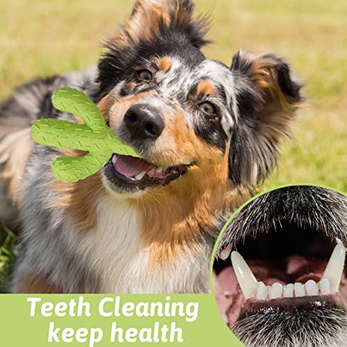 Durable Cactus Dog Chew Toy - Tough Rubber for Aggressive Chewers - Image 7