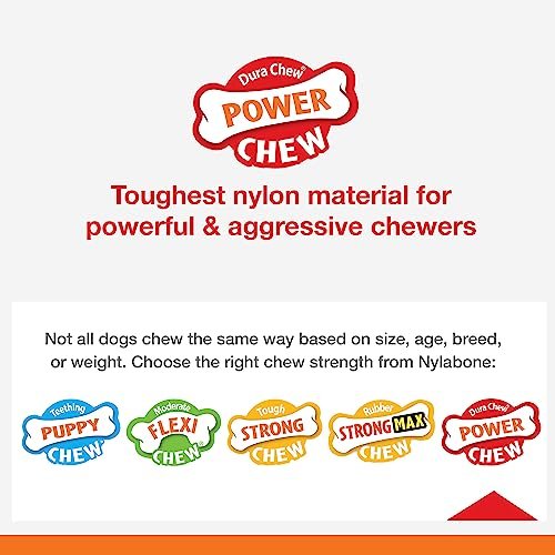 Durable Nylabone Power Chew Ring Toy for Aggressive Chewers, XL Flavor Medley - Image 4
