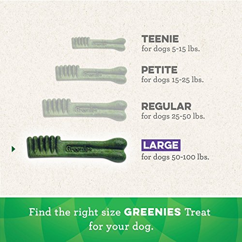Greenies Large Natural Dog Dental Treats, 24 Count, 36 oz, Freshens Breath - Image 7