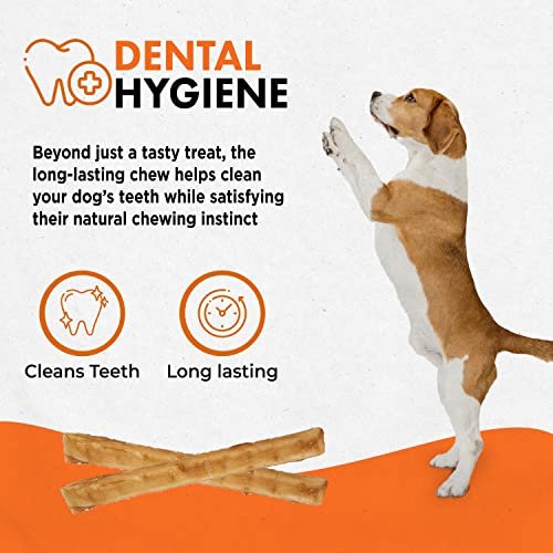Rawhide-Free Chicken Dog Chews - USA-Made, All-Natural, Digestible, 10 Pack - Image 5