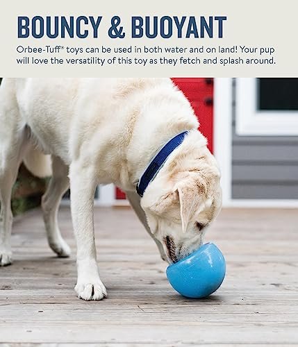 Interactive Treat Dispensing Dog Toy - Large, Blue, Fun & Engaging Play - Image 5