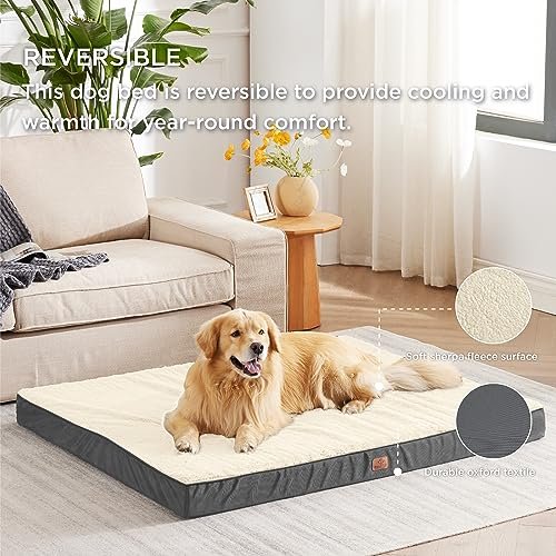 Extra Large Orthopedic Dog Bed with Washable Cover & Foam Support - Image 3
