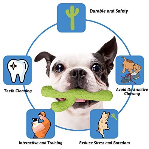 Durable Cactus Dog Chew Toy - Tough Rubber for Aggressive Chewers - Image 2