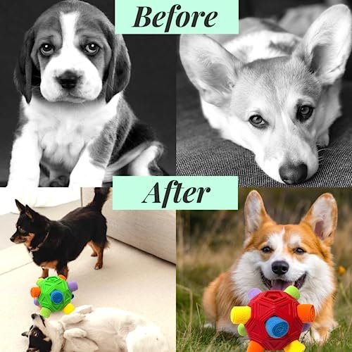 Interactive CIIVURR Snuffle Ball Dog Toy - Treat Dispenser & Slow Feeder Toy - Image 5