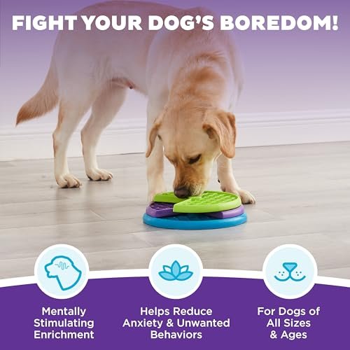 Interactive Outward Hound Dog Puzzle Feeder, Level 2 Enrichment Toy - Image 3
