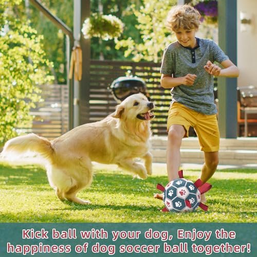 Interactive Dog Soccer Ball with Straps, Tug Toy & Water Fun for Small Dogs - Image 2
