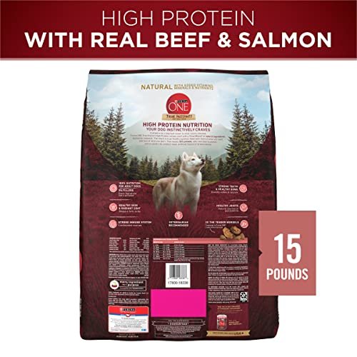 Purina ONE High Protein Dog Food, Beef & Salmon, with Bone Broth, 15 lb. Bag - Image 5