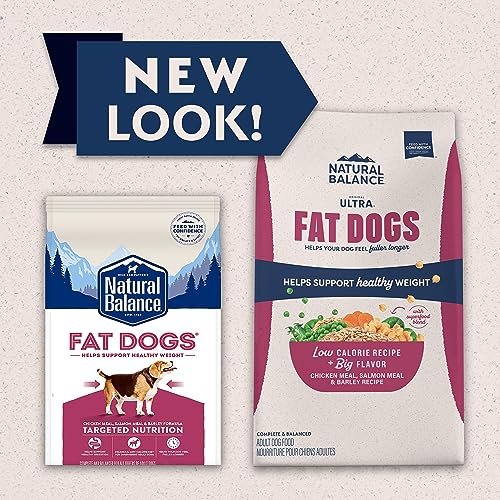 Low-Calorie Dry Dog Food - Chicken & Salmon Recipe for Healthy Weight, 11lb - Image 3