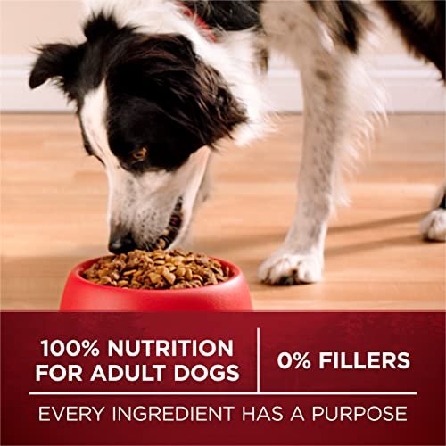 Purina ONE True Instinct Turkey & Venison High-Protein Dry Dog Food, 27.5 lb - Image 8