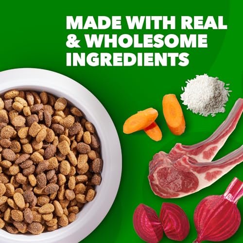 IAMS Minichunks Lamb & Rice Dry Dog Food, High-Protein, 30 lb Bag - Image 8