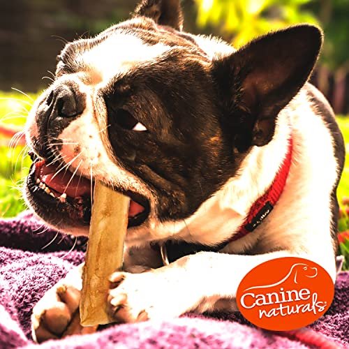 Rawhide-Free Chicken Dog Chews - USA-Made, All-Natural, Digestible, 10 Pack - Image 6
