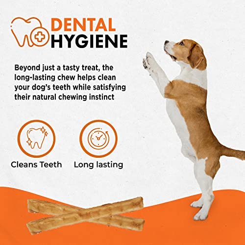 Rawhide-Free Beef Dog Chews - Real Beef, Poultry-Free, Digestible, 10-Pack - Image 5