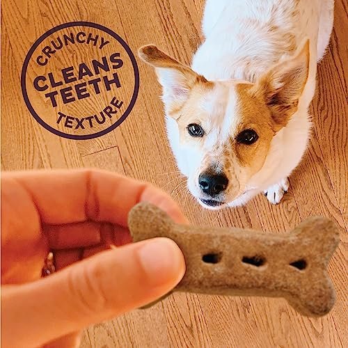 Old Mother Hubbard P-Nuttier Dog Treats, Crunchy, Natural, Large, 6 lb Box - Image 5