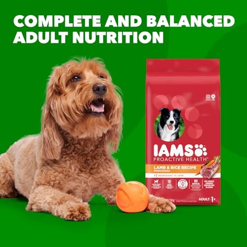IAMS Minichunks Lamb & Rice Dry Dog Food, High-Protein, 30 lb Bag - Image 10
