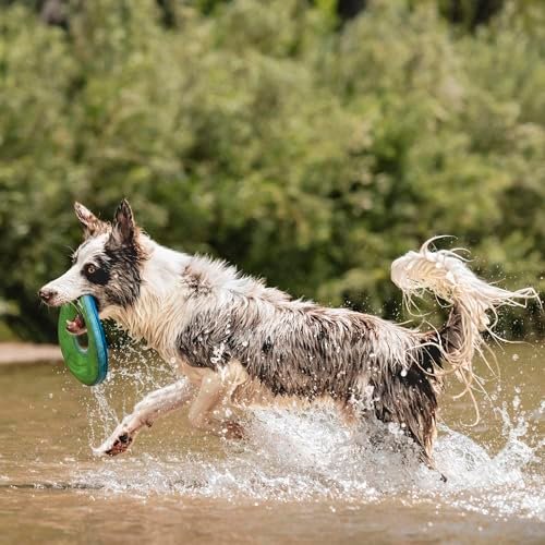 Chuckit Zipflight Dog Flying Disc, Medium 8.5" - Durable, Lightweight Toy - Image 4
