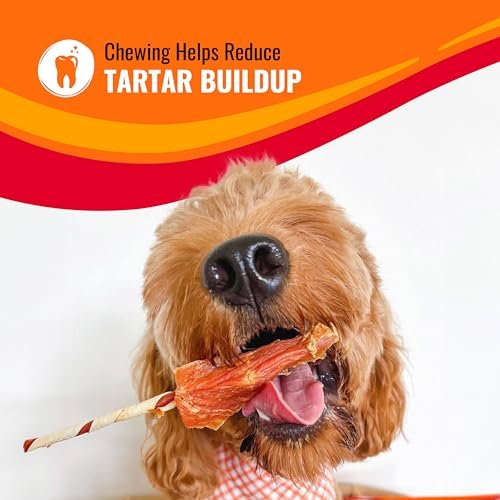 Good'N'Fun Triple Flavor Dog Kabobs - 1.5 lb Long-Lasting Treats Pack - Image 5