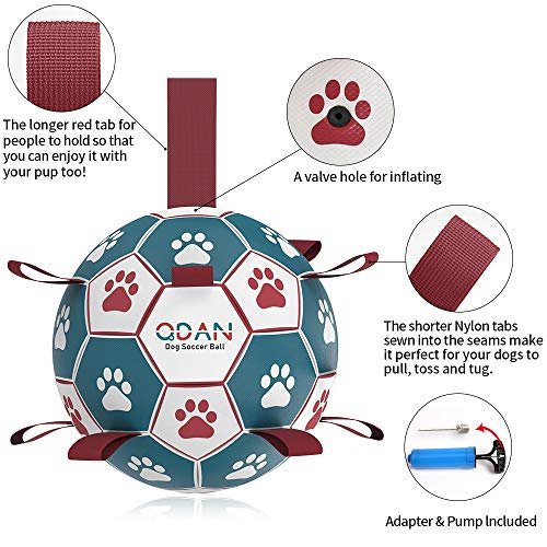 Interactive Dog Soccer Ball with Straps, Tug Toy & Water Fun for Small Dogs - Image 6
