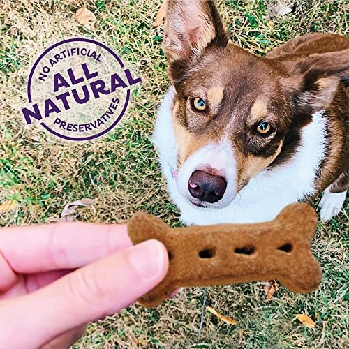 Old Mother Hubbard P-Nuttier Dog Treats, Crunchy, Natural, Large, 6 lb Box - Image 3