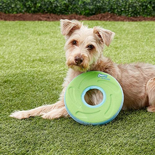 Chuckit Zipflight Dog Flying Disc, Medium 8.5" - Durable, Lightweight Toy - Image 2