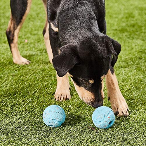 Chuckit Rebounce Dog Balls - Durable Rubber Fetch Toys for Medium Dogs, 2-Pack - Image 2