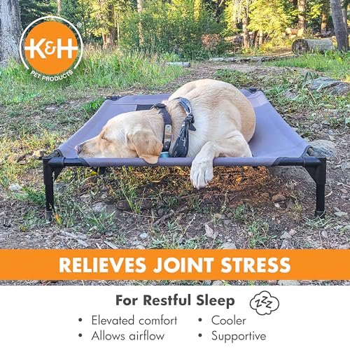 Elevated Large Dog Bed - Cooling Mesh, Washable, Portable, Heavy-Duty Frame - Image 5