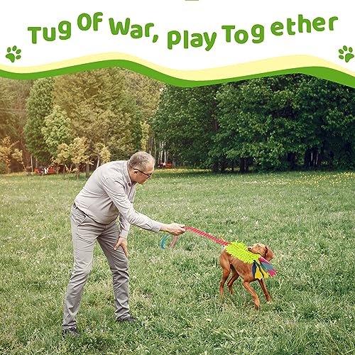 Durable Dog Tug Toy for Aggressive Chewers with Squeaker & Rope Design - Image 3