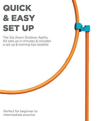 Interactive Dog Agility Training Set - Outdoor Exercise & Skills Development Kit - Image 6