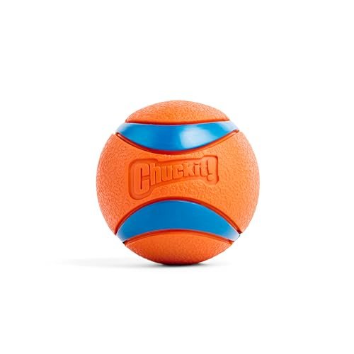 Chuckit Ultra Ball Dog Toy - Durable, Bouncy Fetch Balls for Medium Dogs - Image 7