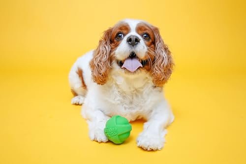 Hartz DuraPlay Squeaky Latex Dog Balls, Medium, Durable 3-Pack Toy - Image 5