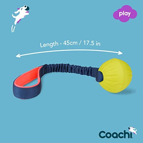Coachi Tuggi Ball: Interactive Tug Toy with Bungee Handle for Dogs & Puppies - Image 4