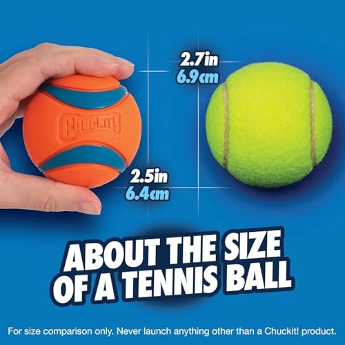 Chuckit Ultra Ball Dog Toy - Durable, Bouncy Fetch Balls for Medium Dogs - Image 3