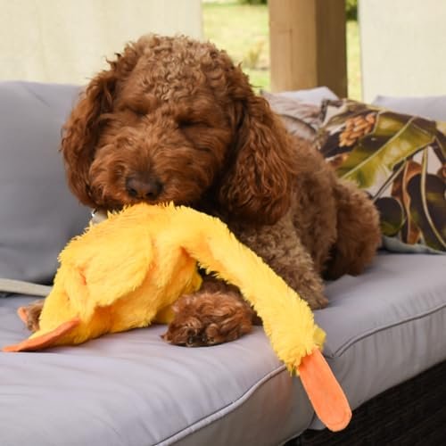 Stuffing-Free 21" Plush Duck Dog Toy – Silent, Fun & Durable for Pets - Image 7