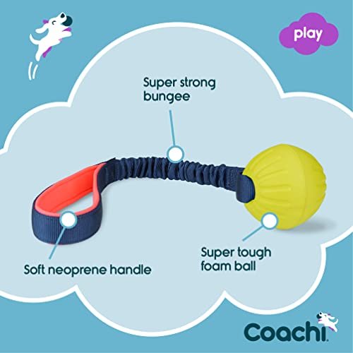 Coachi Tuggi Ball: Interactive Tug Toy with Bungee Handle for Dogs & Puppies - Image 3