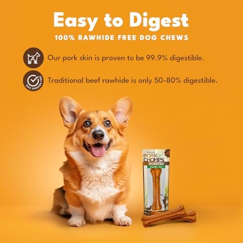 Roasted Pork Skin Dog Chew Bone, 7-Inch, Long-Lasting & Tasty Treat - Image 2