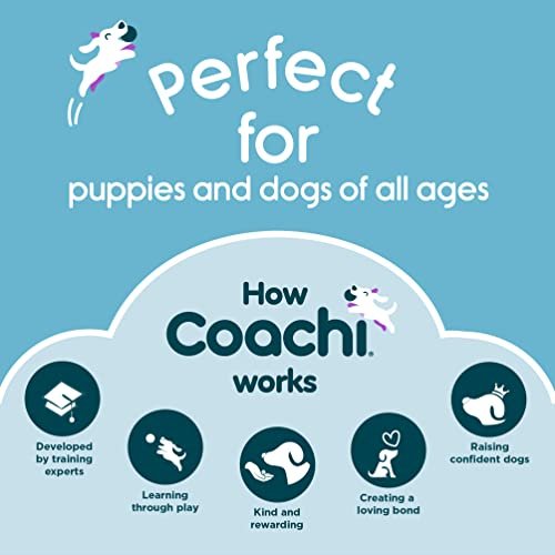 Coachi Tuggi Ball: Interactive Tug Toy with Bungee Handle for Dogs & Puppies - Image 6