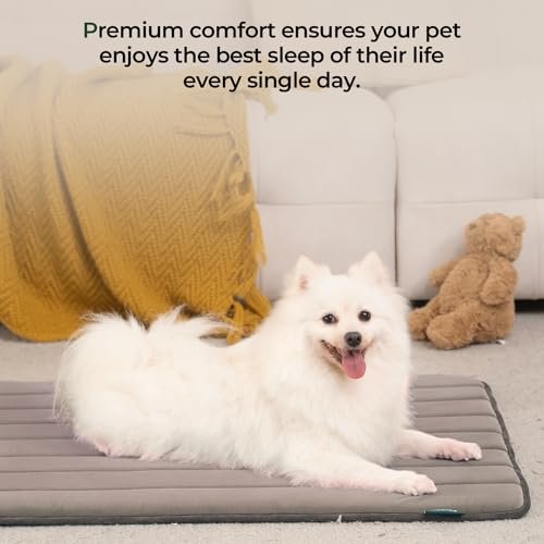 Washable Dog Crate Pad – Water-Resistant Foam Mat for Small Dogs - Image 2