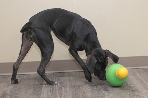 Starmark Bob-A-Lot Large Interactive Treat Dispensing Dog Toy - Image 8