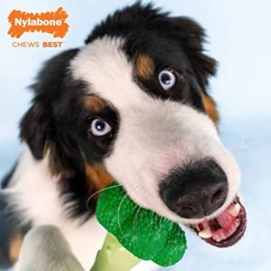 Nylabone Broccoli Power Chew Toy for Dogs, Dog Toys for Aggressive Chewers, Bacon & Cheese Flavor, Large - Up to 50 lbs, 1 Count