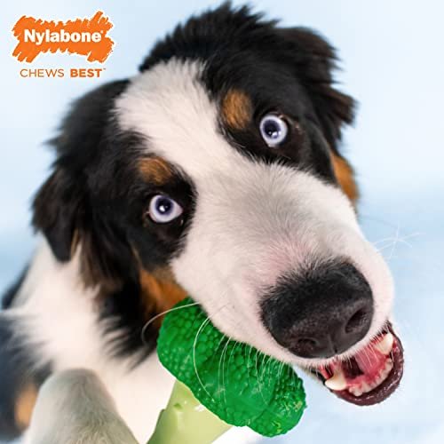 Nylabone Broccoli Power Chew Toy for Dogs, Dog Toys for Aggressive Chewers, Bacon & Cheese Flavor, Large - Up to 50 lbs, 1 Count
