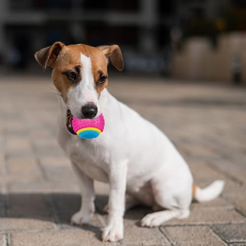 SPOT Sensory Dog Ball for Soft Chewers - Squeaky, Textured, Beef-Scented - Image 5