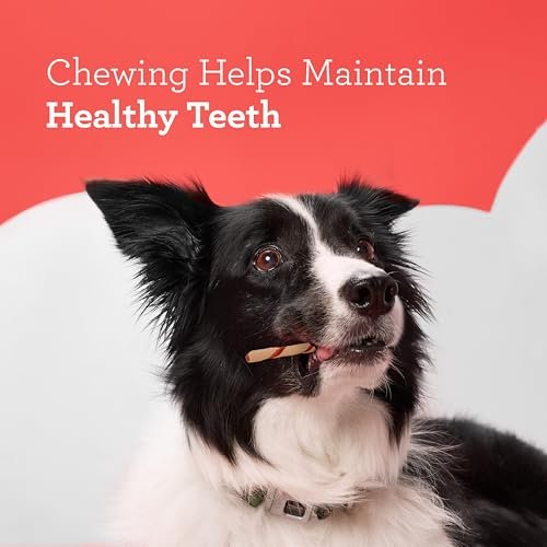 Rawhide-Free DreamBone Twist Sticks with Real Chicken, 50 Healthy Dog Chews - Image 7