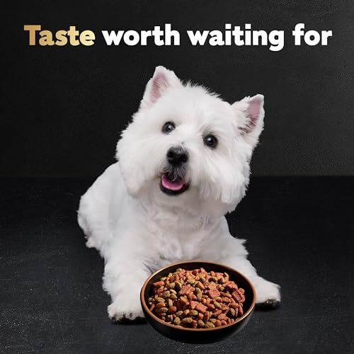 CESAR Small Breed Dry Dog Food Filet Mignon & Veggies, 12 lb Bag - Image 10