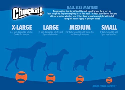 ChuckIt! Amphibious Fetch Balls – Floating, Durable Dog Toys, 3-Pack - Image 8